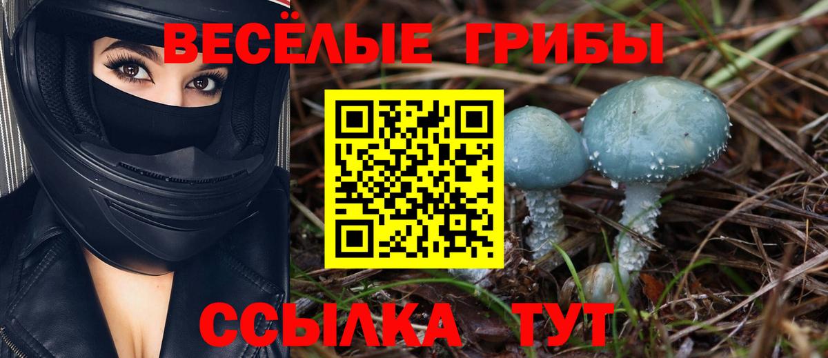 Усть-Кут  Псилоцибиновые грибы мухоморы  Псилоцибиновые грибы мицелий  Вход с VPN 